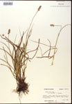 000017782-thumbnail.jpg