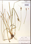 000017783-thumbnail.jpg