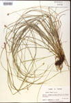 000017785-thumbnail.jpg