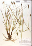 000017786-thumbnail.jpg