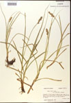 000017787-thumbnail.jpg