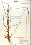 000017788-thumbnail.jpg