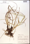 000017789-thumbnail.jpg