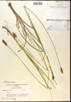 000017790-thumbnail.jpg