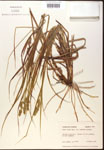 000017791-thumbnail.jpg