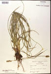 000017792-thumbnail.jpg