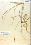 000017793-thumbnail.jpg