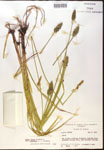 000017797-thumbnail.jpg