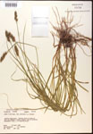 000017798-thumbnail.jpg