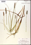 000017800-thumbnail.jpg