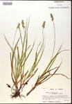 000017801-thumbnail.jpg