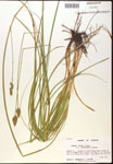 000017802-thumbnail.jpg