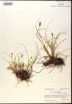 000017803-thumbnail.jpg