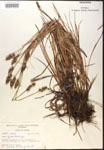 000017804-thumbnail.jpg