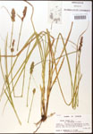 000017805-thumbnail.jpg
