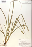 000017806-thumbnail.jpg