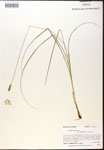 000017807-thumbnail.jpg