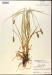 000017811-thumbnail.jpg