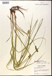 000017812-thumbnail.jpg