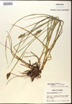 000017813-thumbnail.jpg