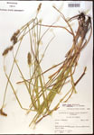000017815-thumbnail.jpg