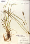 000017816-thumbnail.jpg