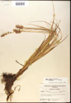 000017817-thumbnail.jpg