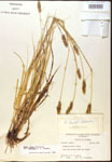 000017818-thumbnail.jpg