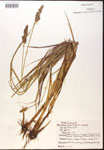 000017819-thumbnail.jpg
