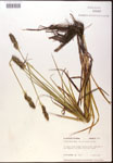 000017820-thumbnail.jpg