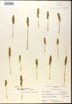 000017821-thumbnail.jpg