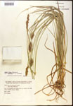 000017822-thumbnail.jpg