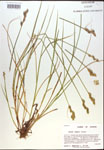 000017883-thumbnail.jpg