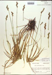000017884-thumbnail.jpg