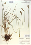 000017885-thumbnail.jpg