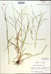000017887-thumbnail.jpg