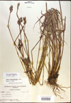 000017889-thumbnail.jpg