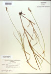 000017890-thumbnail.jpg