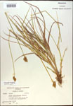 000017892-thumbnail.jpg
