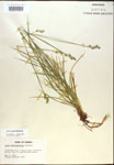 000017893-thumbnail.jpg