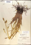 000017894-thumbnail.jpg