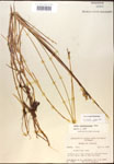 000017895-thumbnail.jpg