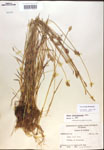000017896-thumbnail.jpg