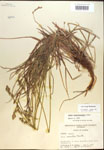 000017897-thumbnail.jpg