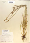 000017898-thumbnail.jpg