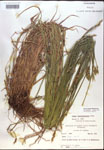 000017899-thumbnail.jpg