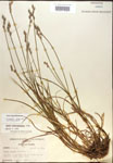 000017900-thumbnail.jpg