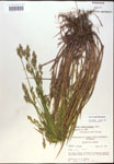 000017901-thumbnail.jpg