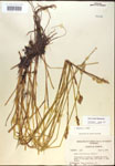 000017902-thumbnail.jpg