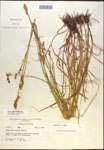 000017904-thumbnail.jpg